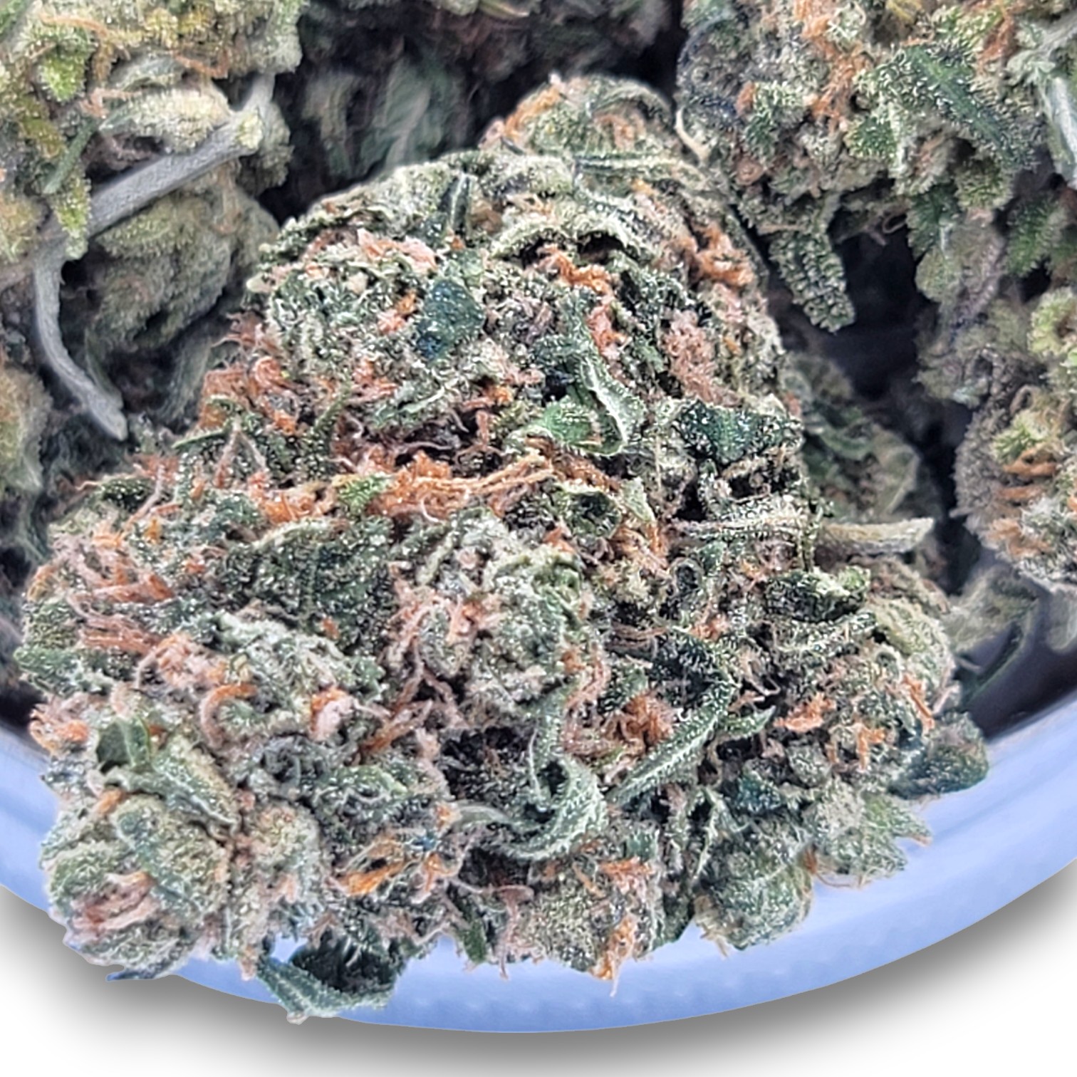 Chocolate Kush - Hybrid - Image 2