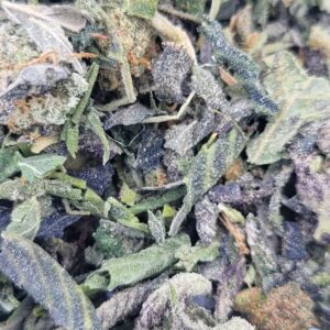 Alternative view of Magic's Shake and Trim