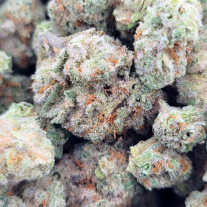 mac-strain-miracle-alien-cookies-trichome-heavy-nugs-close-up