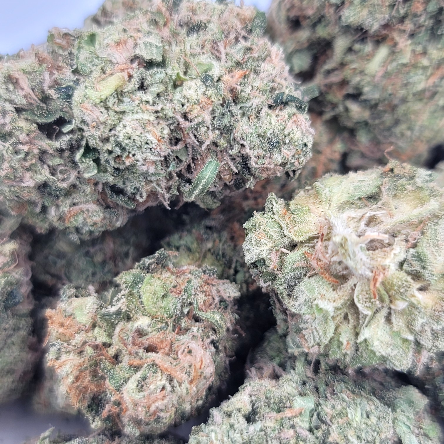 Moon Shine Haze - Sativa - Image 2