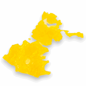 Skunky Diesel Shatter cannabis extract – golden, glassy texture