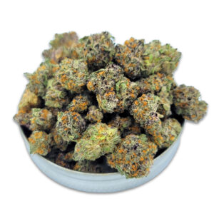 Lobster Royale mid‑size buds — frosty nugs with creamy, citrus, and diesel notes