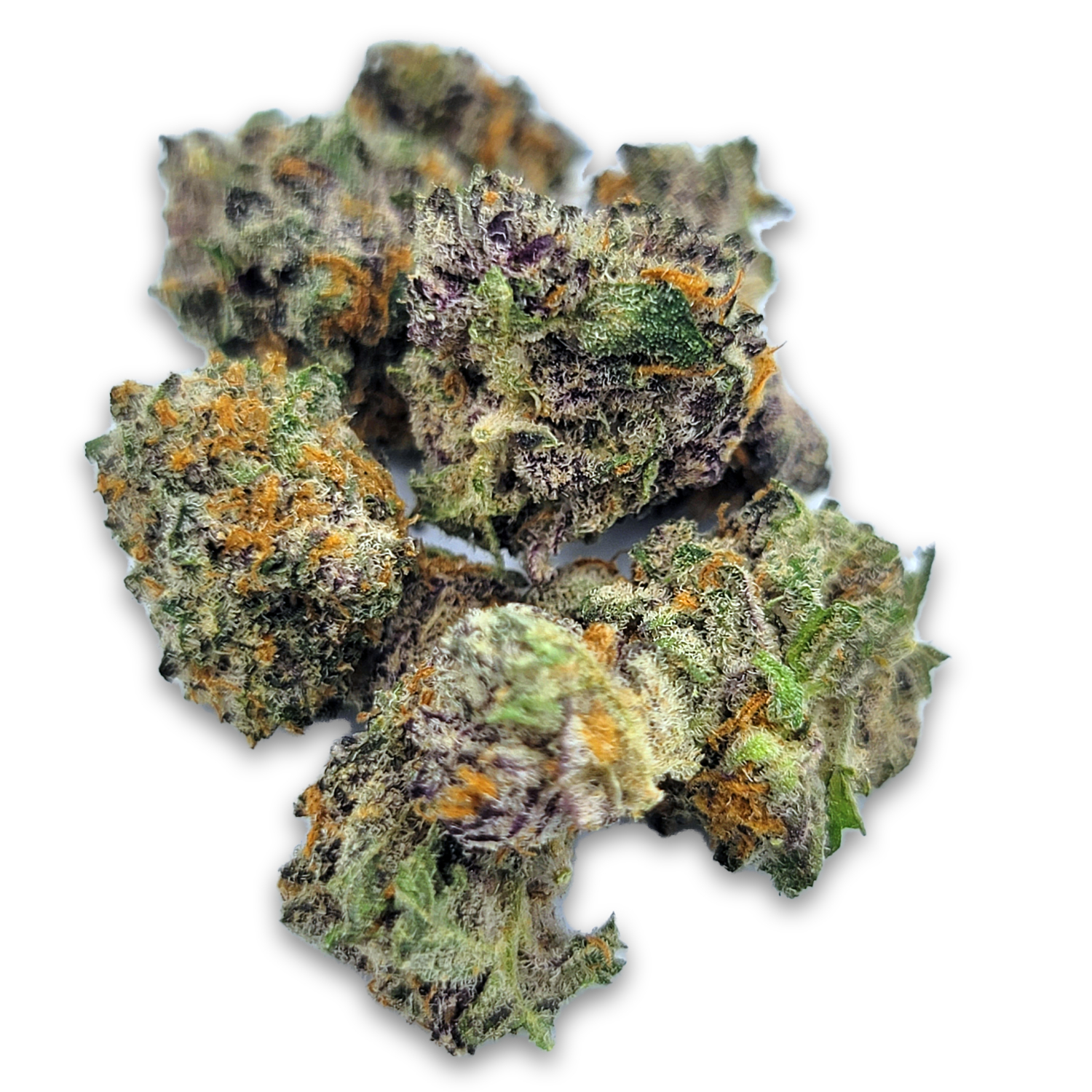 Lobster Royale (Mids) | Savory Gas Hybrid (THC 20–26%) - Image 2