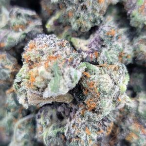 Close-up of Powdered Donuts flower showing dense nugs with heavy white crystal coverage