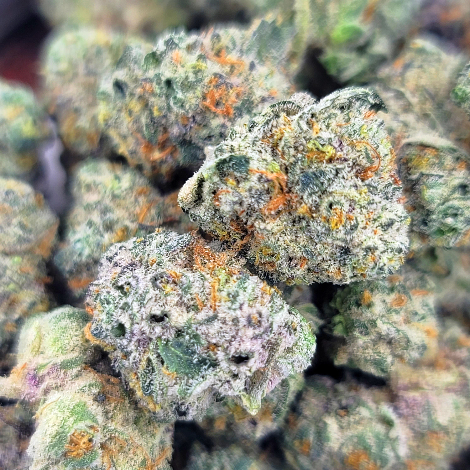 Ice Cream Smalls – Sweet Creamy Hybrid Cannabis - Image 2