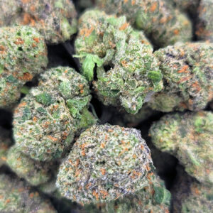 Dense Bubble Mintz buds with frosty trichomes and minty aroma