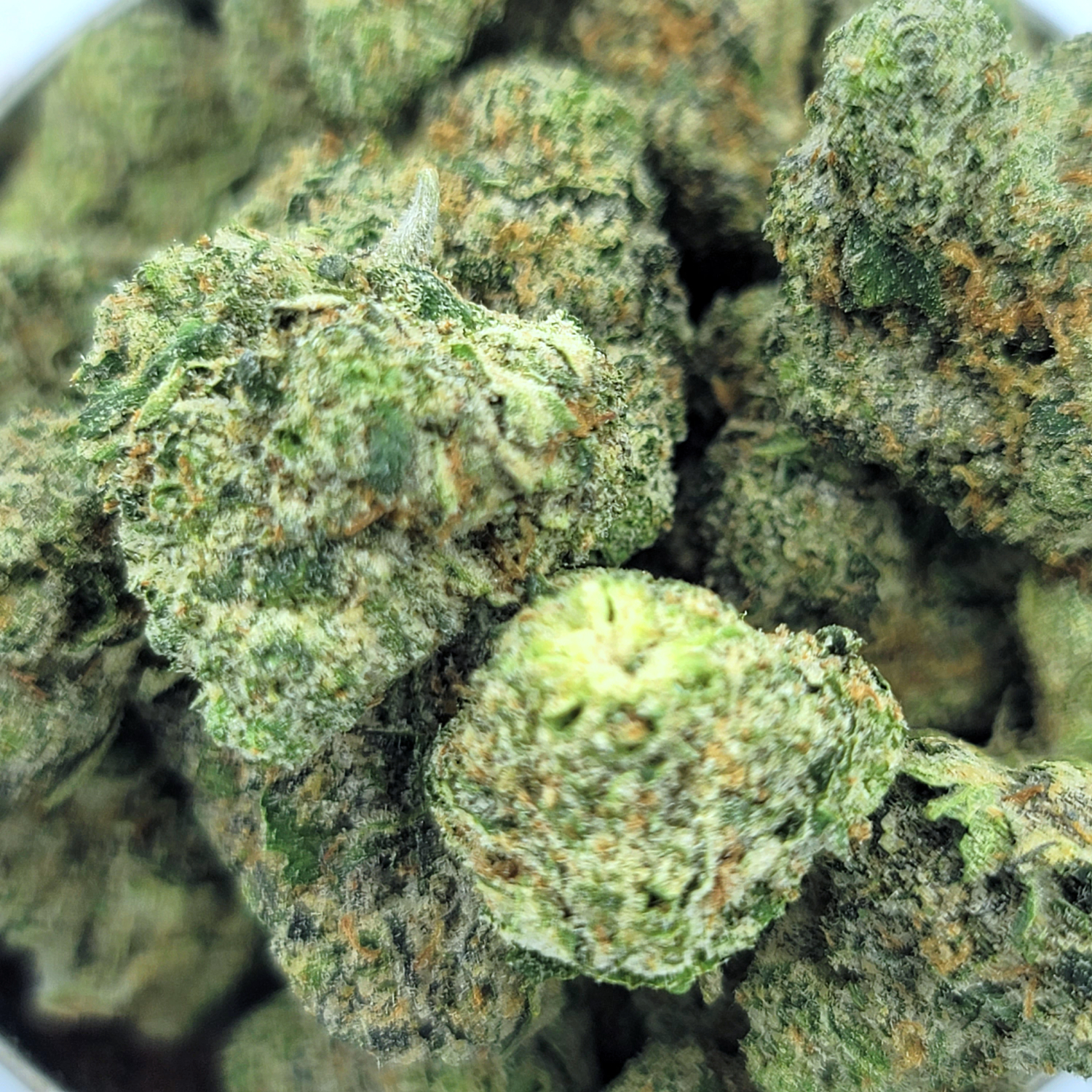 Runtz Muffin mid size cannabis flower close-up